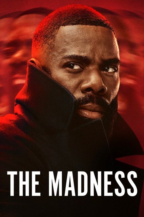 Locandina di The Madness (2024)