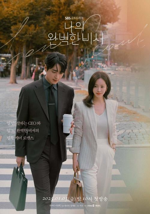 Locandina di 나의 완벽한 비서 (2025)