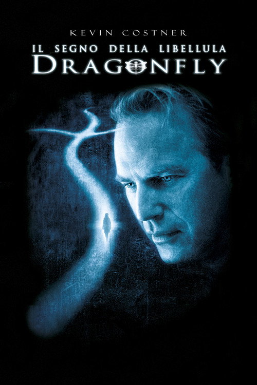 Locandina di Il segno della libellula - Dragonfly (2002)