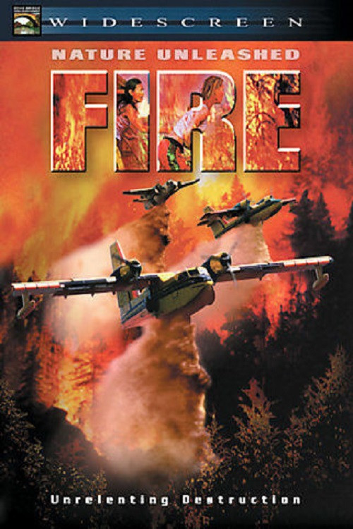 Locandina di Fire (2004)