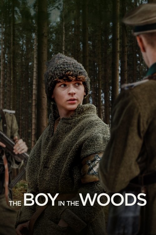 Locandina di The Boy in the Woods (2023)