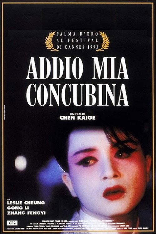 Locandina di Addio mia concubina (1993)
