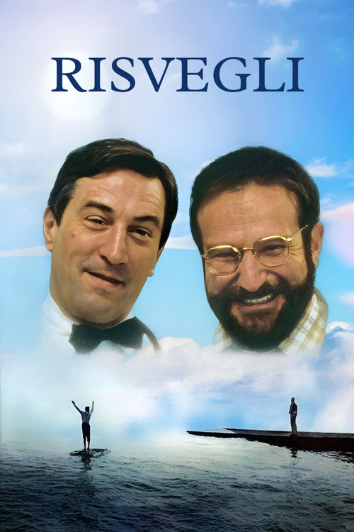 Locandina di Risvegli (1990)