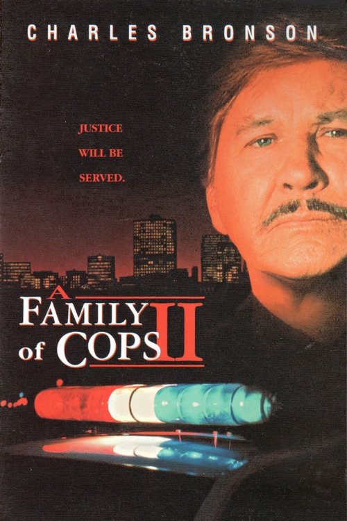 Locandina di Sospetti in famiglia 2 (1997)