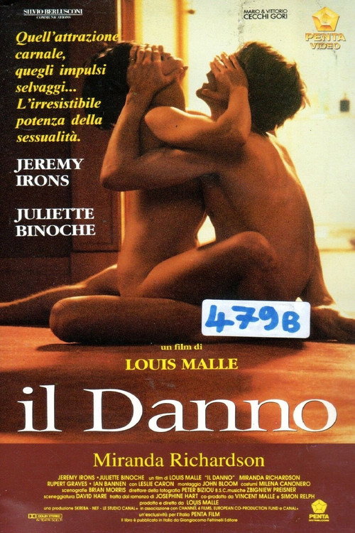 Locandina di Il danno (1992)