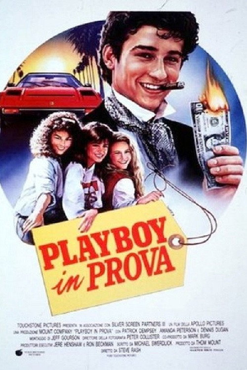 Locandina di Playboy in prova (1987)