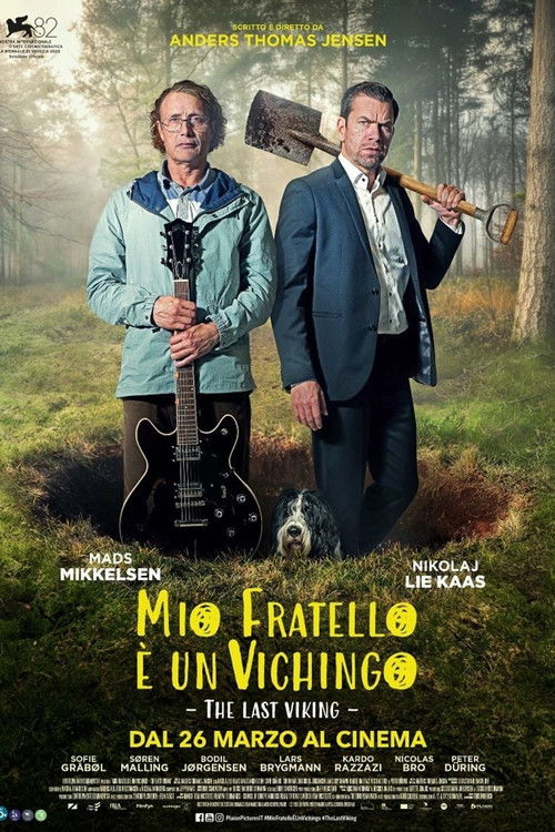 Locandina di Mio fratello è un vichingo (2025)
