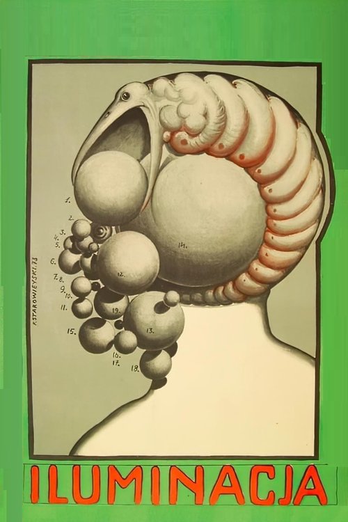 Locandina di Illuminazione (1973)