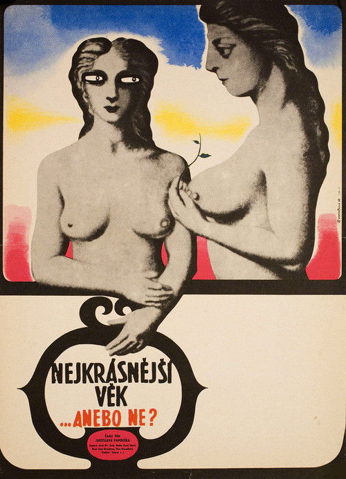 Locandina di Nejkrásnější věk (1969)