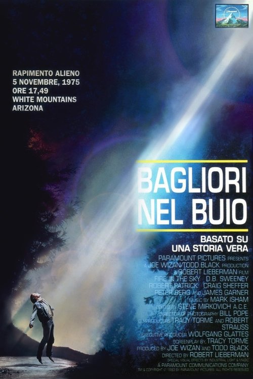Locandina di Bagliori nel buio (1993)
