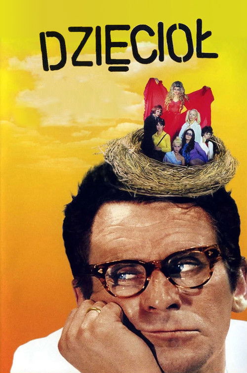 Locandina di Dzięcioł (1971)