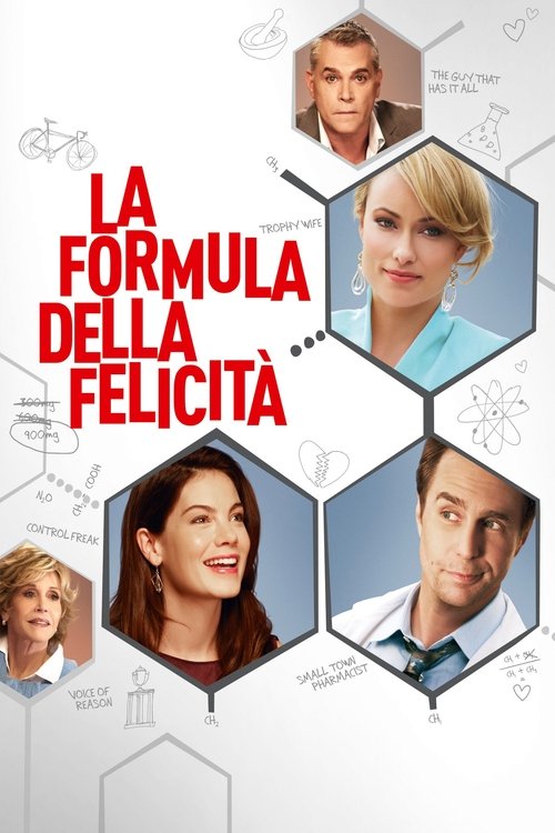 Locandina di La formula della felicità (2014)