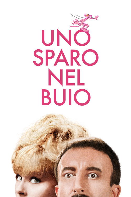 Locandina di Uno sparo nel buio (1964)