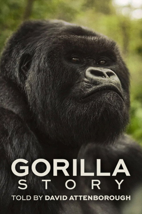 Locandina di A Gorilla Story: l'incontro di David Attenborough (2026)