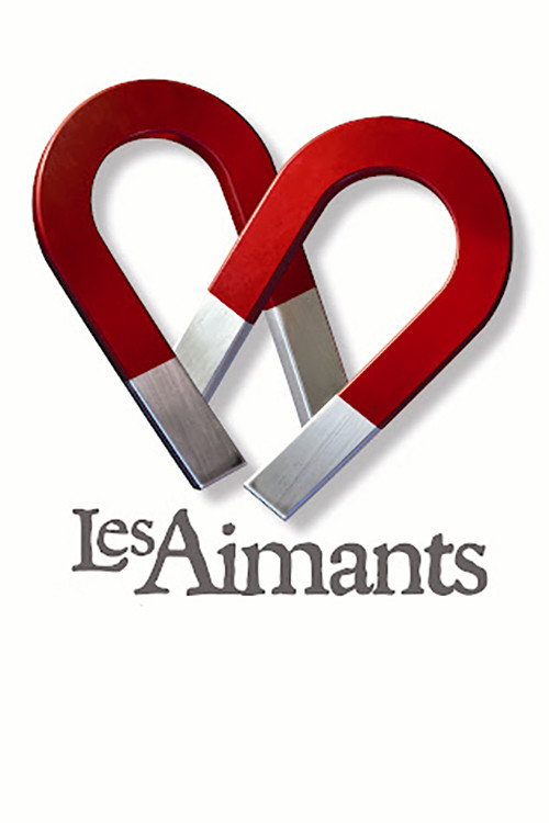 Locandina di Les aimants (2004)