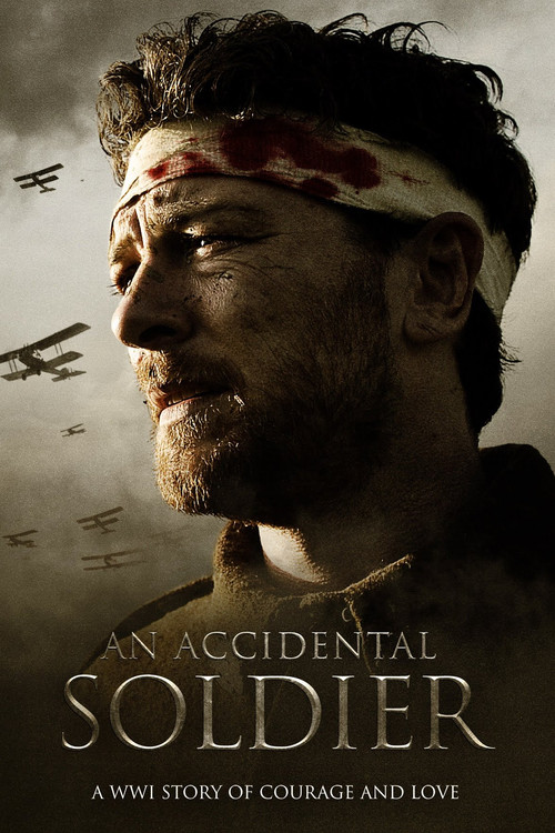 Locandina di An Accidental Soldier (2013)