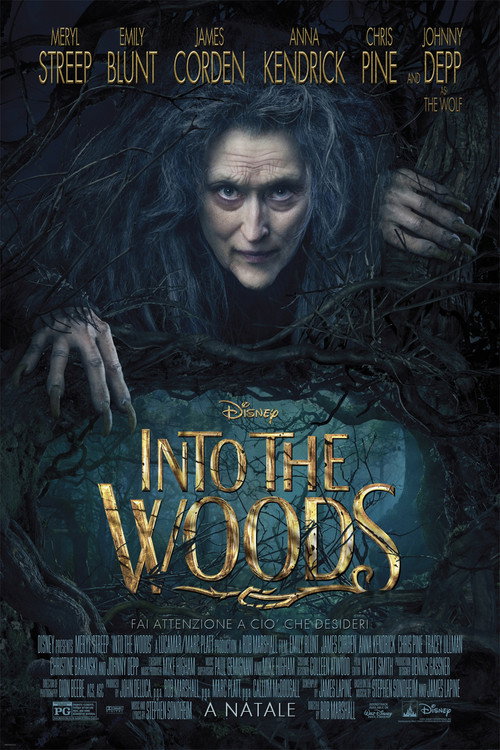 Locandina di Into the Woods (2014)