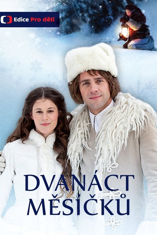 Locandina di Dvanáct měsíčků (2013)