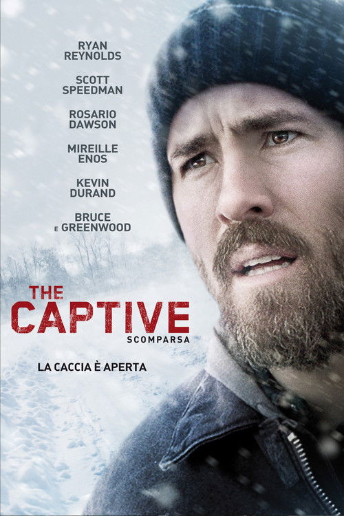 Locandina di The Captive: Scomparsa (2014)