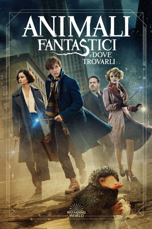 Locandina di Animali fantastici e dove trovarli (2016)