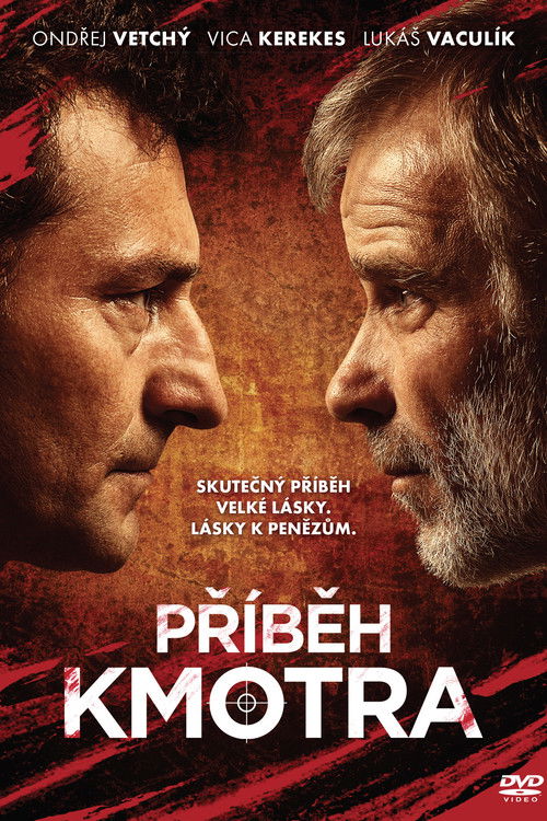 Locandina di Příběh kmotra (2013)