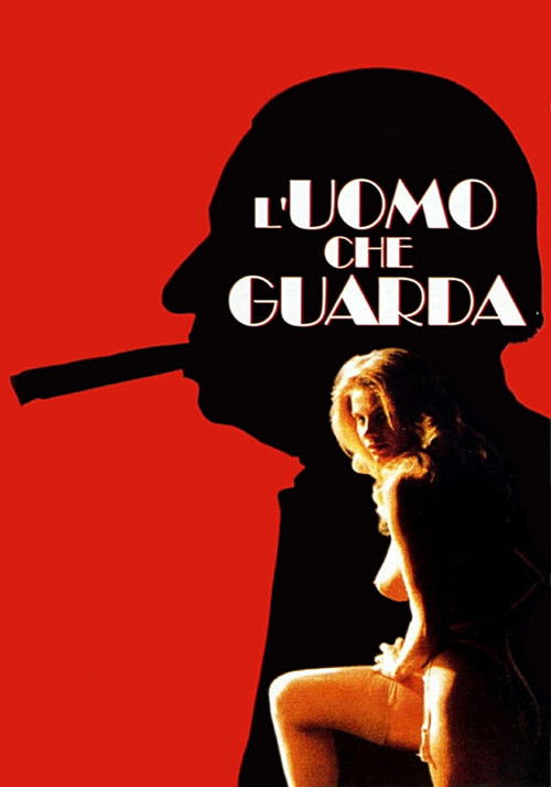 Locandina di L'uomo che guarda (1994)