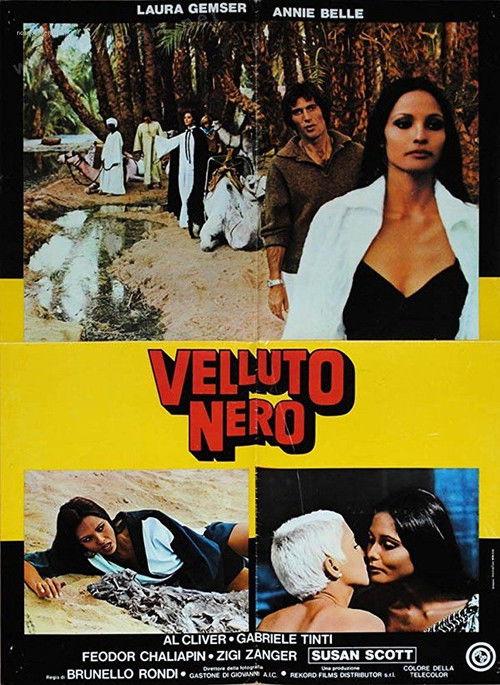 Locandina di Velluto nero (1976)