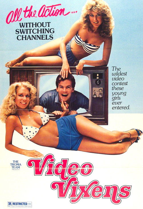 Locandina di Video Vixens! (1975)