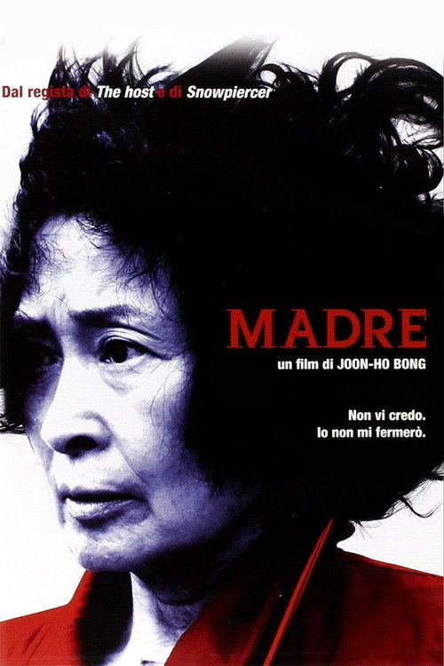 Locandina di Madre (2009)