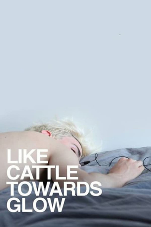 Locandina di Like Cattle Towards Glow (2015)