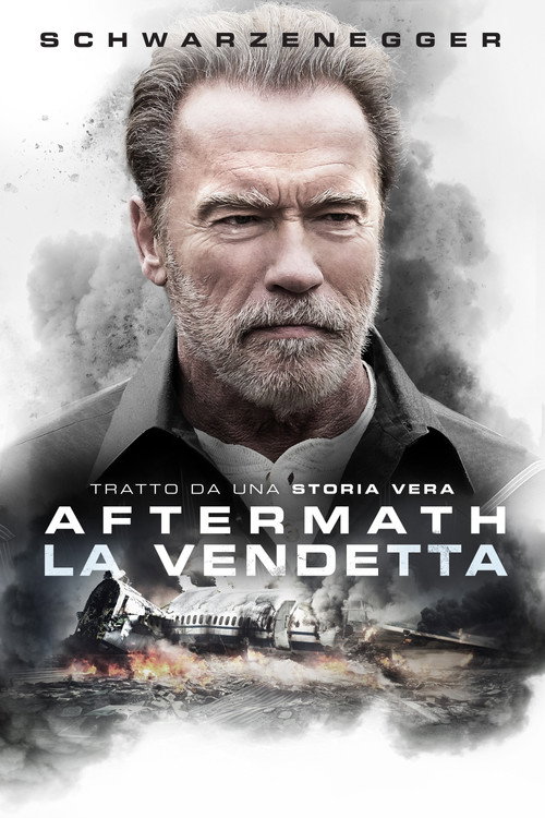 Locandina di La vendetta: Aftermath (2017)