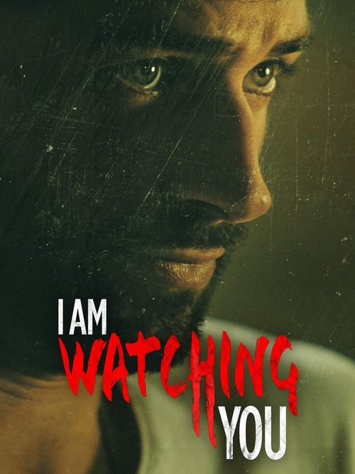 Locandina di Lo stalker della finestra di fronte (2016)