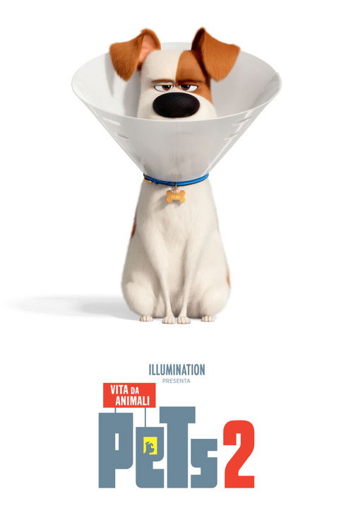 Locandina di Pets 2 - Vita da animali (2019)