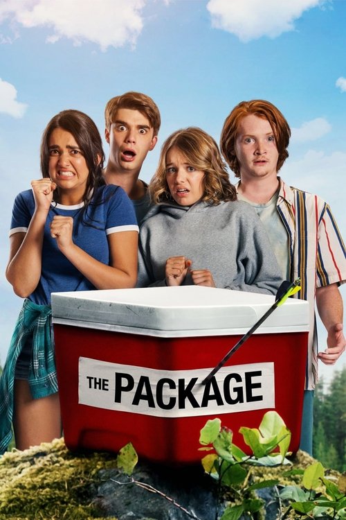 Locandina di Il pacco (2018)
