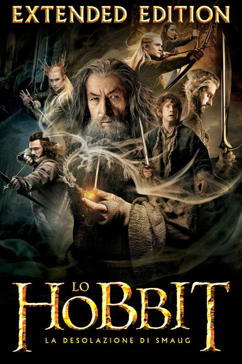 Locandina di Lo Hobbit: La desolazione di Smaug (2013)