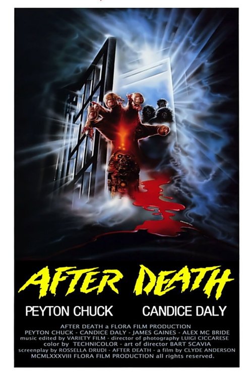 Locandina di After Death - Oltre la morte (1990)