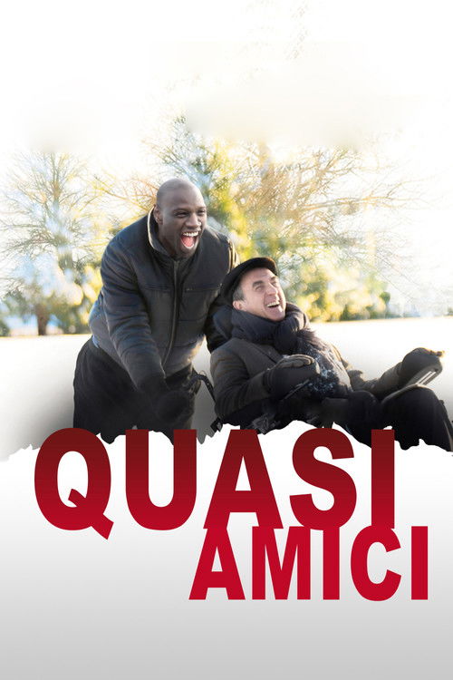 Locandina di Quasi amici - Intouchables (2011)