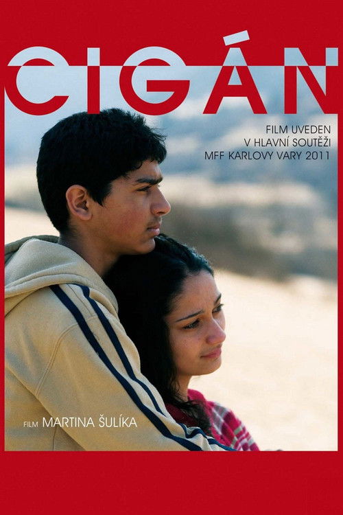 Locandina di Cigán (2011)
