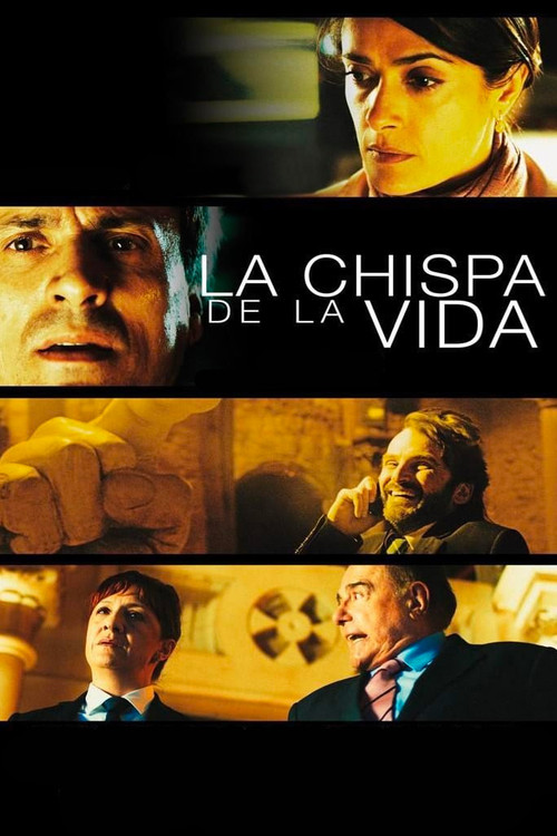 Locandina di La chispa de la vida (2011)