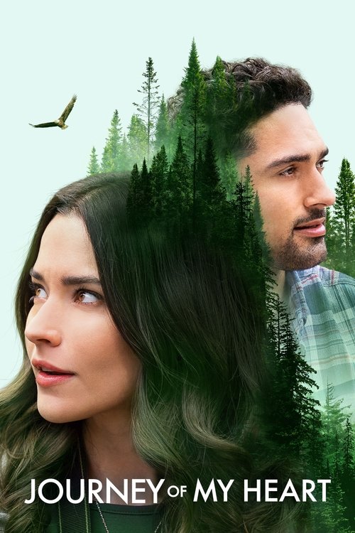 Locandina di Journey of My Heart (2021)