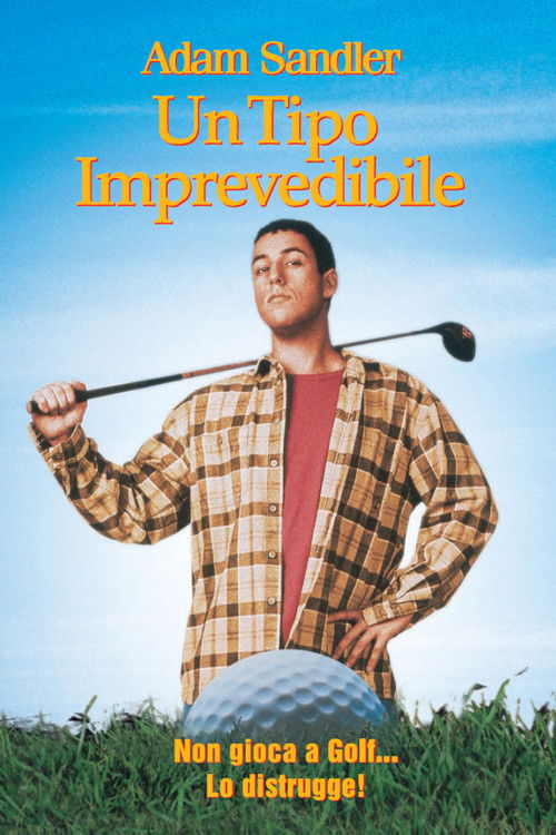 Locandina di Un tipo imprevedibile (1996)