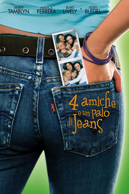 Locandina di 4 amiche e un paio di jeans (2005)