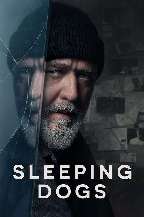 Locandina di Sleeping Dogs (2024)