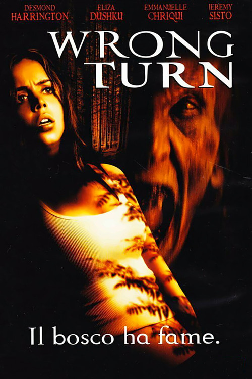 Locandina di Wrong Turn - Il bosco ha fame (2003)