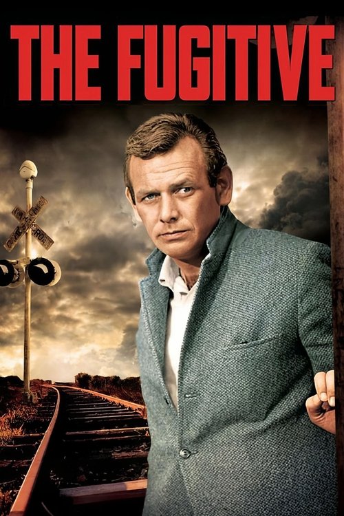 Locandina di The Fugitive (1963)