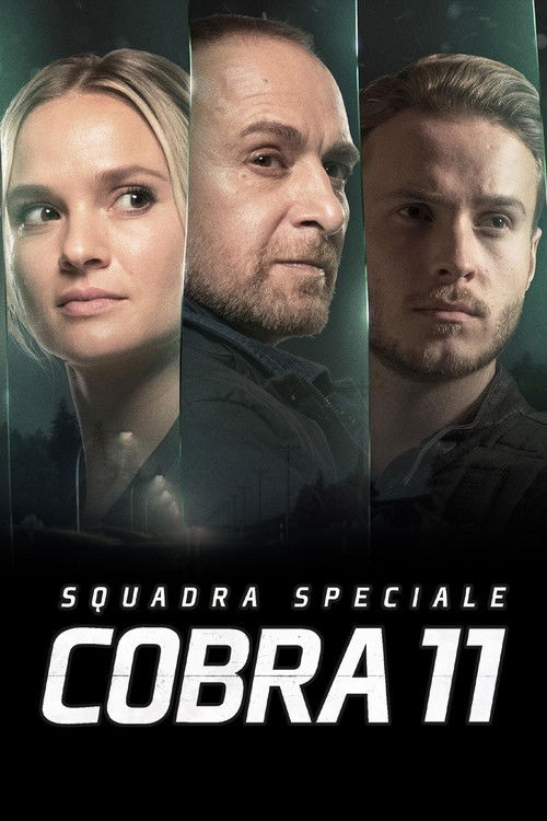 Locandina di Squadra Speciale Cobra 11 (1996)