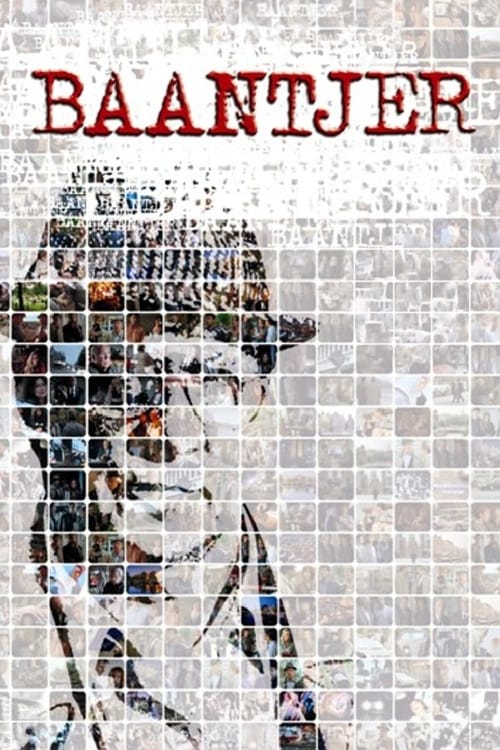 Locandina di Baantjer (1995)