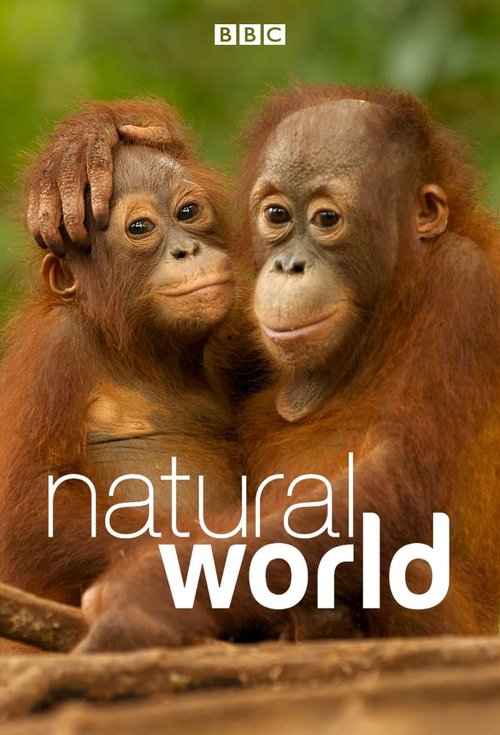 Locandina di Natural World (1983)