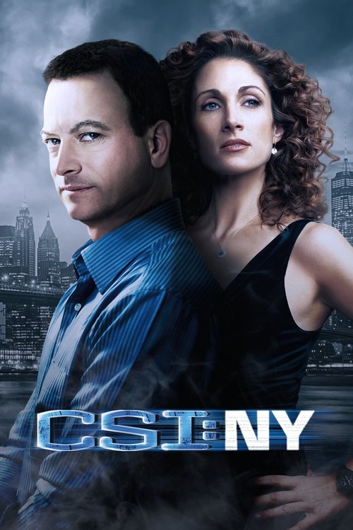 Locandina di CSI: New York (2004)