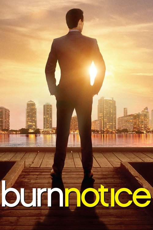 Locandina di Burn Notice - Duro a morire (2007)